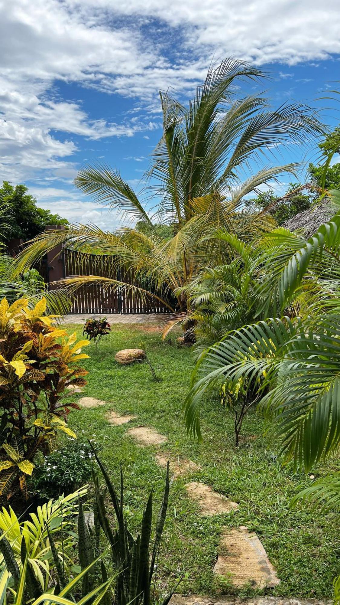 The Lookout Lodge Tangalle Extérieur photo